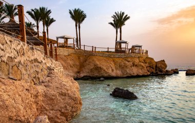 Güneş doğarken Sharm el Sheikh 'de kızıl deniz kıyısında palmiye ağaçları olan kayalık bir sahil. Seyahat Konsepti.