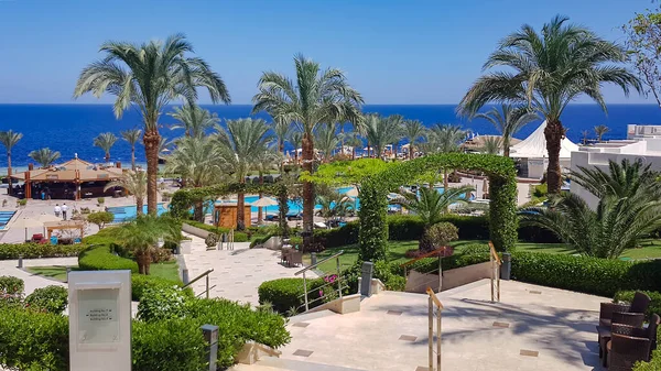 Egitto Sharm Sheikh Maggio 2021 Bellissimo Paesaggio Con Piscina Sunrise — Foto Stock