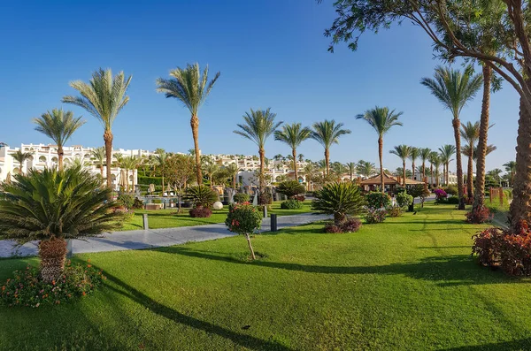 埃及一家宾馆的背景是美丽的园林 草坪修剪一新 灌木盛开 棕榈树高耸 — 图库照片