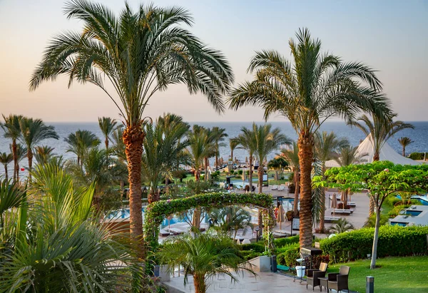 Egypt Sharm Seikh 2021年5月 日の出のスイミングプール付きの美しい造園モンテマーレグランド日の出の紅海沿岸のホテルを選択します — ストック写真