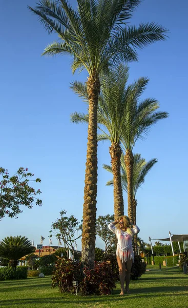 埃及沙姆沙伊赫的一个度假胜地 一头卷发 背对着高高的手掌 身材瘦弱的女人 — 图库照片