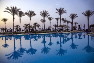 AFRICA, EGYPT, MAYIS, 2021 - Yüzme havuzu üzerinde hafif bir gün doğumu bazı plaj salonları ve suda yansıyan uzun palmiyeler