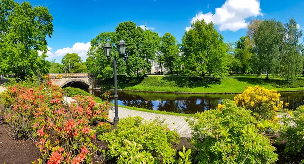 Panorama Des Rigaer Kanals Vor Dem Hintergrund Blühender Rhododendrons Wunderschönen — Stockfoto