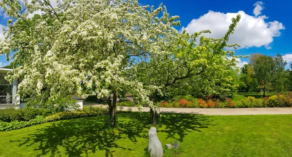 Panorama Riga Kanalen Mot Bakgrund Blommande Rhododendron Vackra Kronvalda Park — Stockfoto