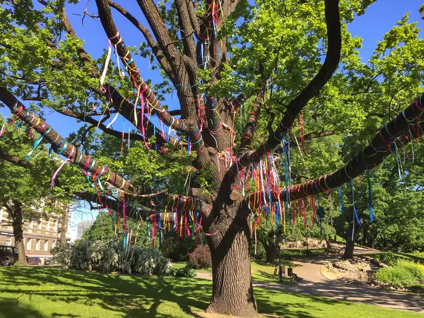 Viejo Roble Decorado Con Cintas Multicolores Para Pedir Deseos Parque —  Fotos de Stock