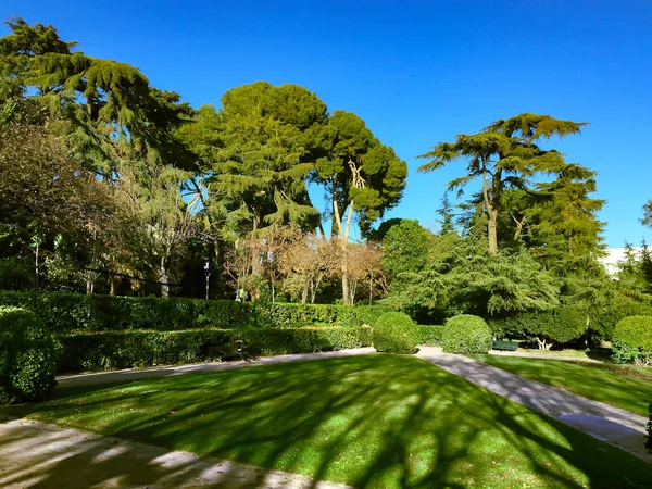 Belo Jardim Palau Pedralbes Com Várias Coníferas Centro Barcelona Espanha — Fotografia de Stock