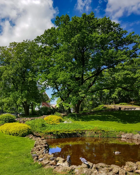 Panorama Del Hermoso Parque Kronvalda Con Robles Viejos Pequeño Estanque — Foto de Stock