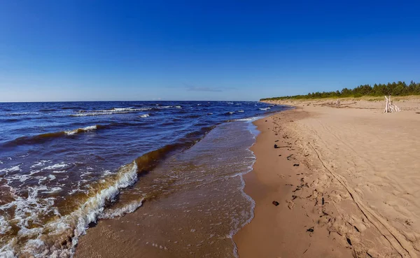 Panorama Divokého Pobřeží Baltského Moře Malými Vlnami Carnikavě Lotyšsko — Stock fotografie
