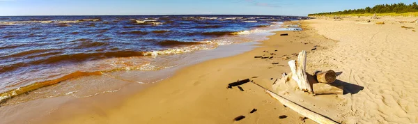 拉脱维亚Carnikava波涛汹涌的波罗的海野生海岸全景 — 图库照片