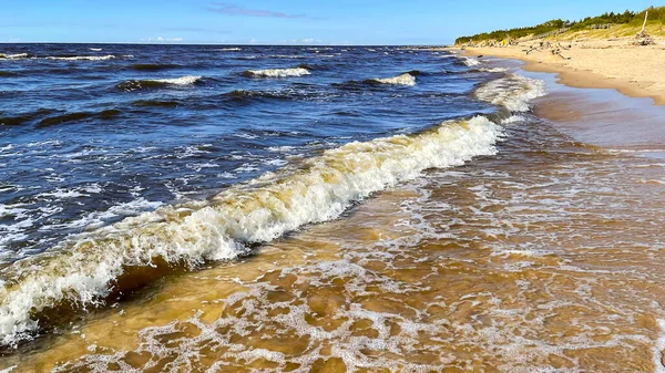 Panorama Costa Selvagem Mar Báltico Com Pequenas Ondas Carnikava Letónia — Fotografia de Stock