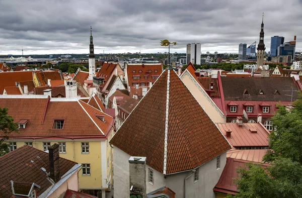 エストニア タリン 2020年8月 曇りの日に旧市街タリンの赤い瓦屋根の上のビュー — ストック写真