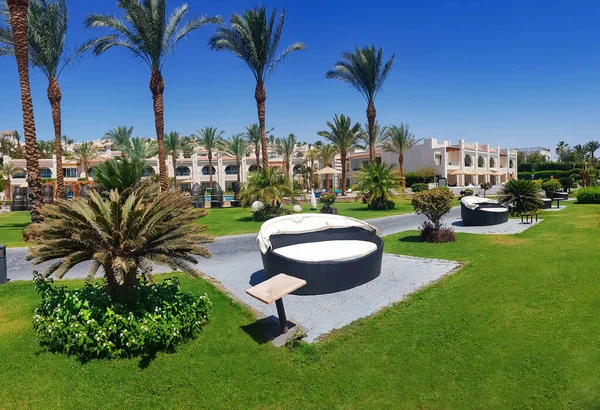 在一个美丽的花园的海滨椅子上 有修剪过的草坪和开花的灌木 在一个埃及旅馆的地盘上 完美假期概念 — 图库照片