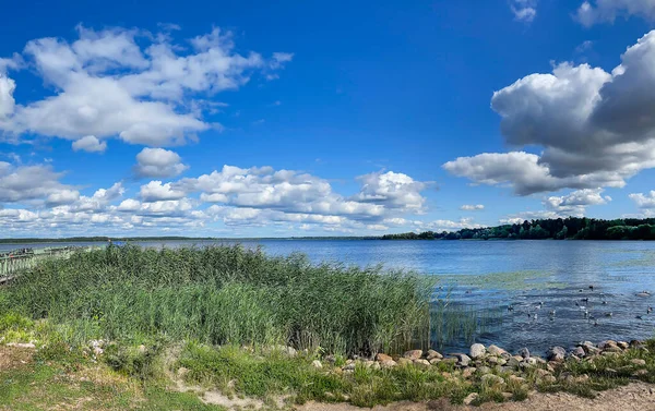 Panorama Pięknego Błękitnego Nieba Chmurami Cumulus Nad Jeziorem Kisezers Jednym — Zdjęcie stockowe