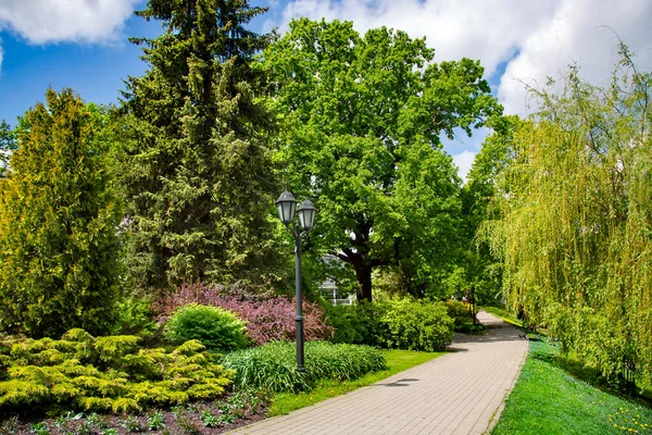 Красивый Смешанный Городской Парк Хвойными Растениями Старинными Фонарями Возле Городского — стоковое фото