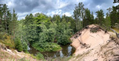 Letonya 'da büyük beyaz kum tepecikleri, çam ağaçları, çimenler ve yosunlarla kaplı yeşil ormanın güzel manzarası. Yeşillik bitki örtüsü ile doğal manzara.