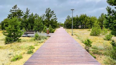 Genç bir çam ormanı ile kum tepelerinden geçerek Letonya 'nın Ventspils kentindeki Baltık Denizi' ne giden ahşap bir patika.