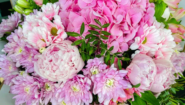 Hermosa Composición Ramo Hortensias Rosadas Peonías Concepto Tienda Floral Bonito —  Fotos de Stock