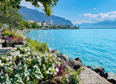 İsviçre 'nin Montreux kentindeki Cenevre Gölü ve İsviçre Alpleri kıyılarında panoramik manzara
