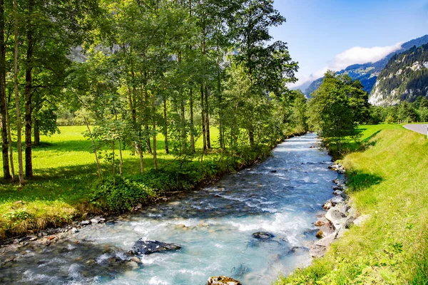 Vackert Naturlandskap Med Liten Klar Fjällbäck Bakgrunden Höga Berg Bernese — Stockfoto