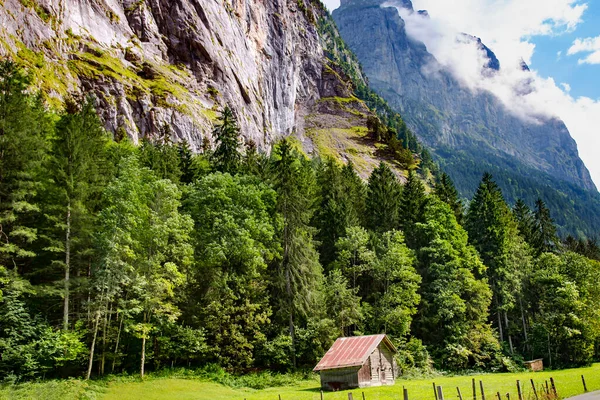 Antiga Casa Madeira Nas Montanhas Coberta Com Floresta Bernese Oberland — Fotografia de Stock