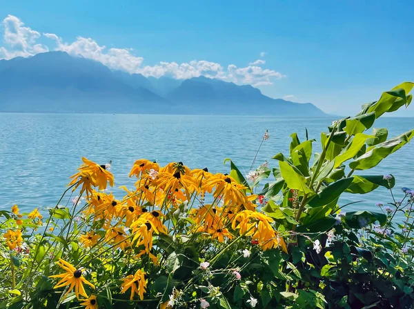 Vista Panorâmica Para Costa Lago Genebra Alpes Suíços Cidade Montreux — Fotografia de Stock