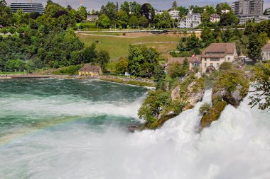 Ren Şelalesi 'ndeki Ren Nehri' nin güçlü beyaz akıntıları Avrupa 'nın Schaffhausen, İsviçre' deki en ünlü ve en büyük şelalesidir.