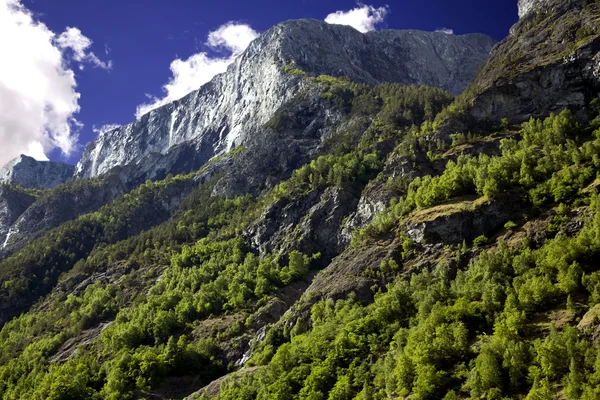 Красивые горы Люсе-фьорда — стоковое фото