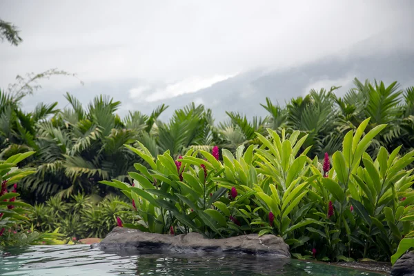 Pool with hot thermal water in a five star hotel The Springs Resort and Spa — Stock Photo, Image