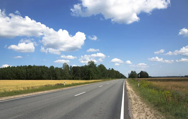 Schilderachtige lege weg onder geel verkrachting veld — Stockfoto