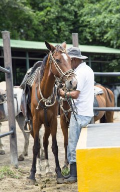 Yağmur ormanları üzerinde yürüyüşe atlı bir eyer çiftçi koyar