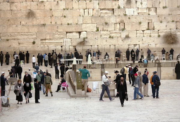 Judeus rezando no Muro Ocidental em Jerusalém — Fotografia de Stock