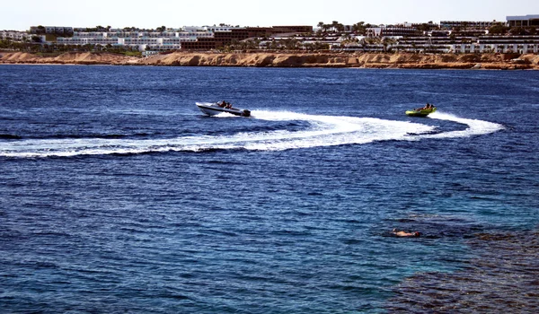 Tourists of bouncing up over wake on tube on Red sea coast — Stock Photo, Image