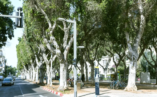 Quiet street in the center of new Tel Aviv, Israel — Stock Photo, Image