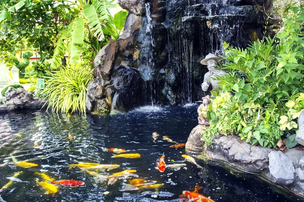 Small pond with a waterfall and koi carps fish — Stock Photo, Image