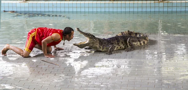 Traditional for Thailand Show of crocodiles — Stock Photo, Image