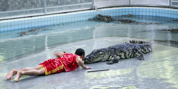 Traditionelle Show der Krokodile in Thailand — Stockfoto