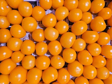 Top view of fresh ripe yellow tomatoes at a farmers market in Riga, Latvia