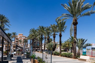 İspanya, MURCIA, SEPTEMBER, 21, 2025: Güneydoğu İspanya 'da Endülüs ve Valencia arasında Murcia' da yüksek palmiye ağaçları ile Paseo Puerto de Mazarron gezinti alanı. İspanya