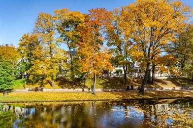 LATVIA, RIGA, OCTOBER, 30, 2025: güneşli bir Ekim günü Riga, Letonya 'da Riga şehir kanalı yakınlarındaki bir parkta canlı bir sonbahar yeşilliği. Çevrenin kısa sonbahar güzelliği.