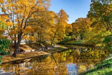 LATVIA, RIGA, OCTOBER, 30, 2025: güneşli bir Ekim günü Riga, Letonya 'da Riga şehir kanalı yakınlarındaki bir parkta canlı bir sonbahar yeşilliği. Çevrenin kısa sonbahar güzelliği.