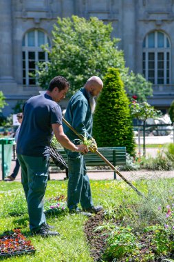 FRANCE, PARIS, MAYIS, 20 MAYIS: Park işçileri Fransa 'nın orta kesimindeki bir yaz günü çiçek tarlasına çiçek ekiyor.