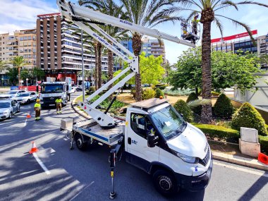 İspanya, VALENCIA, SEPTEMBER 15, 2025: Valencia, İspanya kentsel çevresindeki ölü palmiye dallarını kaldıran bir kamyonda belediye çalışanı.