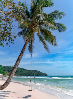 Tayland Körfezi 'nde, Phu Quoc Adası, Vietnam' da popüler Khem Sahili 'nde ip salıncaklı büyük kavisli bir palmiye ağacı..