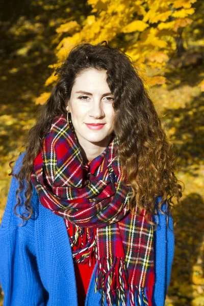 Retrato de una hermosa mujer elegante en el parque otoñal — Foto de Stock