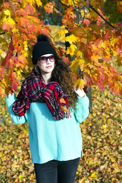 Portrait of a beautiful elegant woman in autumnal park — Stock Photo, Image