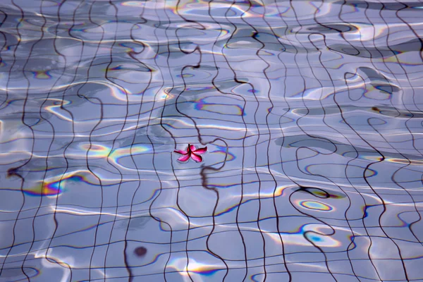 Frischwasser im Schwimmbad — Stockfoto