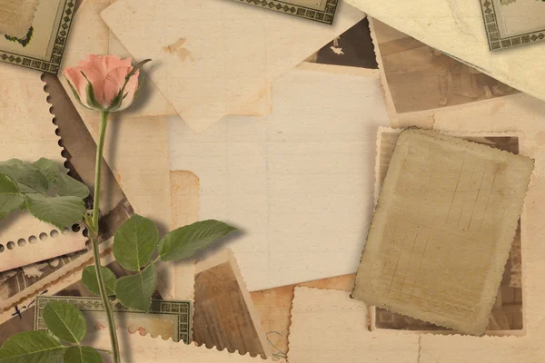 Παλιά εκλεκτής ποιότητας αρχείο με φωτογραφίες και ροζ τριαντάφυλλα — Φωτογραφία Αρχείου