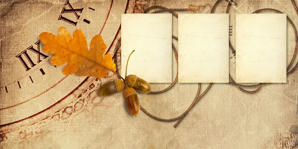 Старый винтажный альбом с осенними листьями дуба — стоковое фото