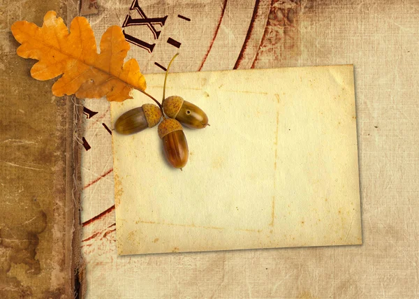 Old vintage album with autumn oak leaves — Stock Photo, Image