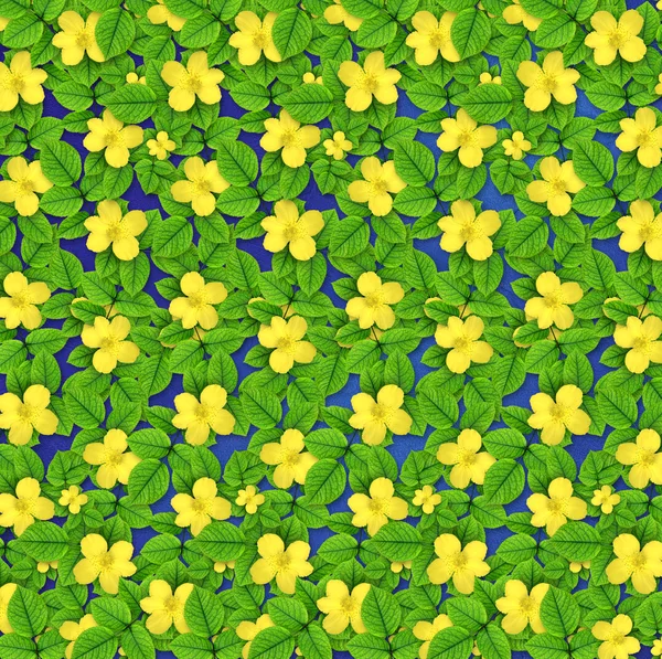 Vackra gula sommarblommor på abstrakt bakgrund — Stockfoto